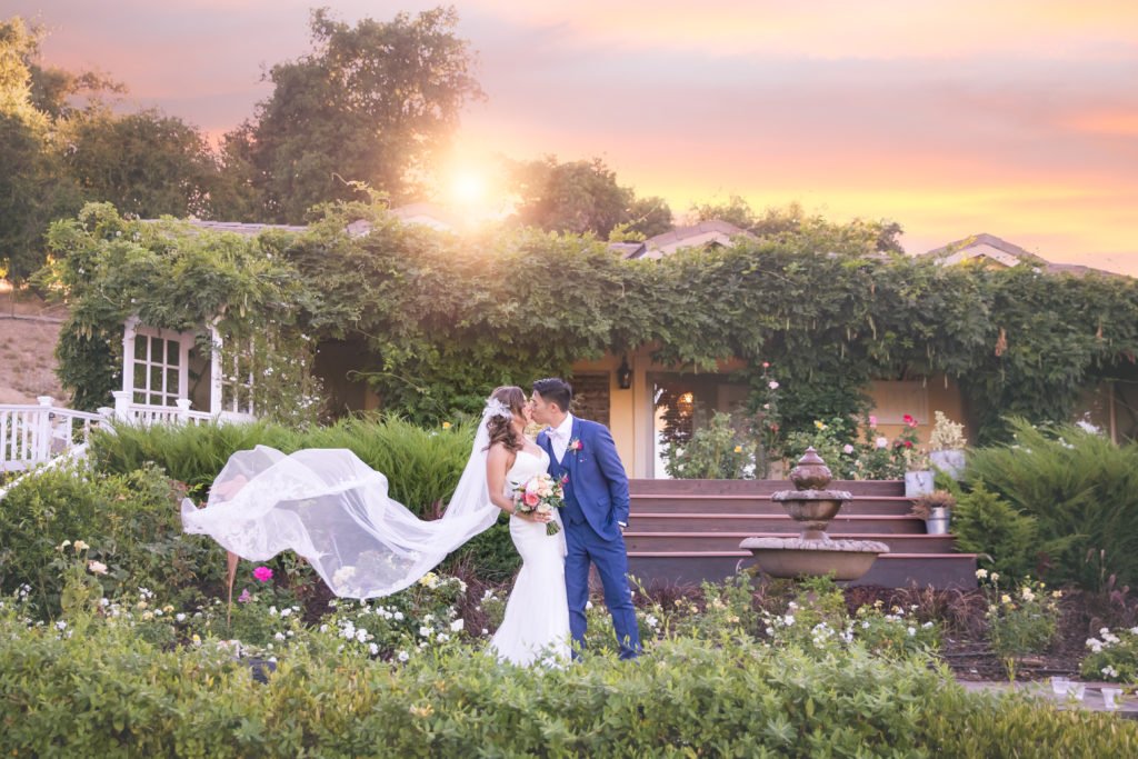 IMG 0663 Edit 1024x683